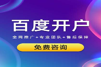 成功企业SEM竞价代运营案例研究